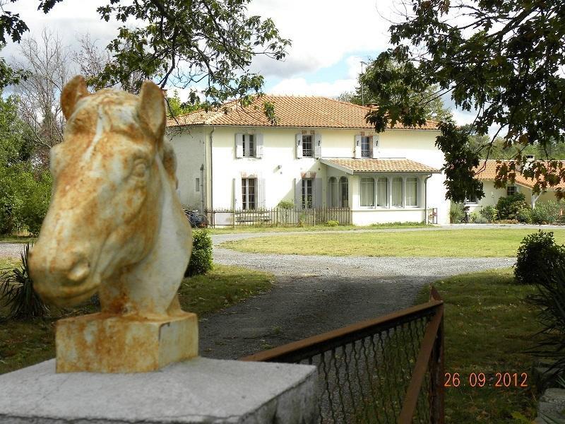 Domaine De L'Escuderia Hotel Parentis-en-Born Ngoại thất bức ảnh